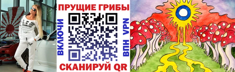 Галлюциногенные грибы Cubensis  как найти наркотики  Курск 