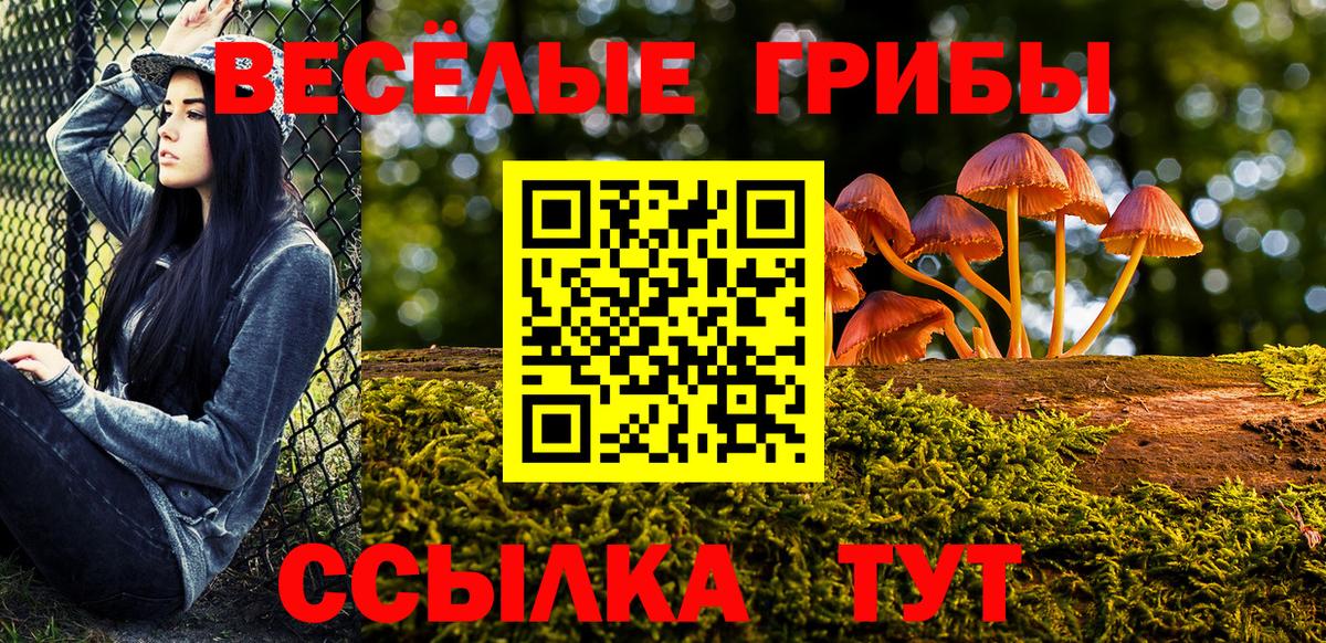Галлюциногенные грибы Psilocybe  Вход с VPN  купить  сайты  Курск 